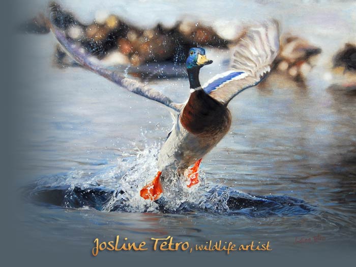 L'envol - Josline Tétro, peintre animalière