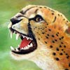 “J'ai mangé 10 kangourous” - 30x36 - Oil canvas