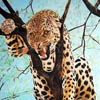 “La puissance” - 40x60 - Oil canvas