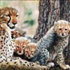 “Mes tout-petits” - 20x24 - Oil canvas