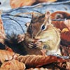 “Surprise d'automne” - 14x18 - Huile sur toile